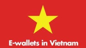 The Overall Landscape of E-wallet Market in Vietnam