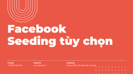 Facebook Seeding Tuỳ Chọn