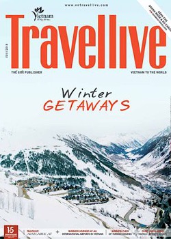 Travellive